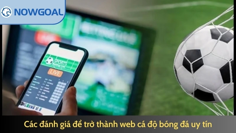 Các đánh giá để trở thành web cá độ bóng đá uy tín