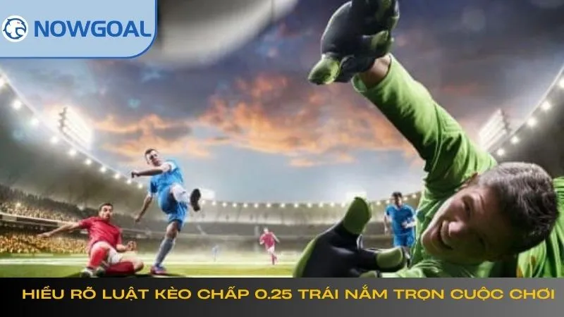 Hiểu rõ luật kèo chấp 0.25 trái nắm trọn cuộc chơi