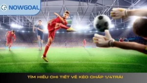 Tìm hiểu chi tiết về kèo chấp 1/4 trái